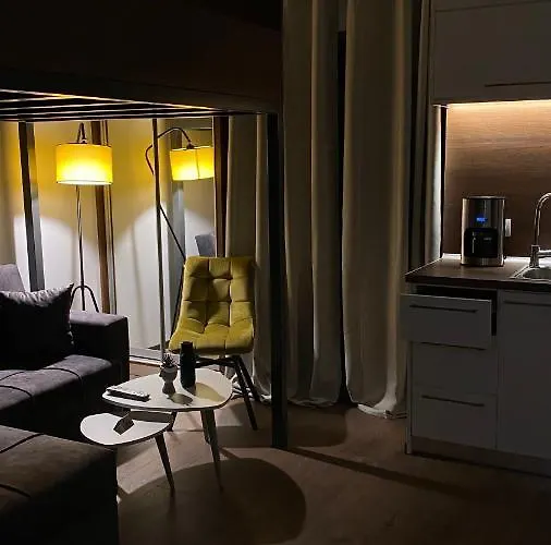 Modern Tiny House In